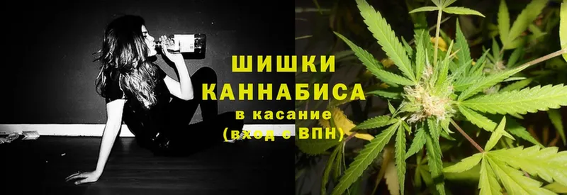 kraken ссылки  Заинск  Бошки марихуана SATIVA & INDICA 